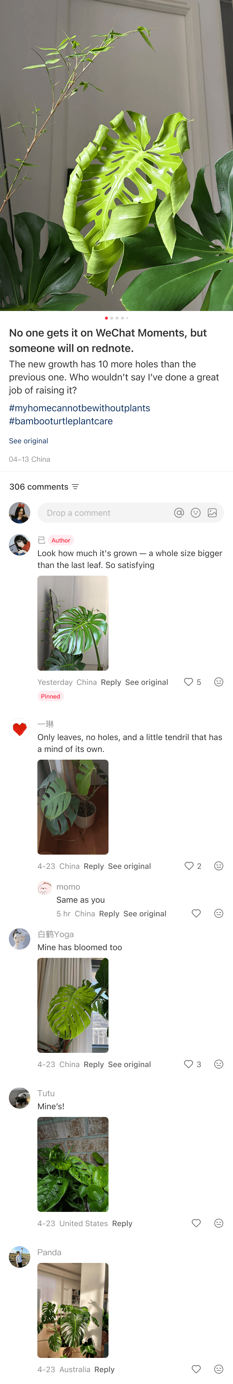 Long rednote comment thread where users share monstera growth photos