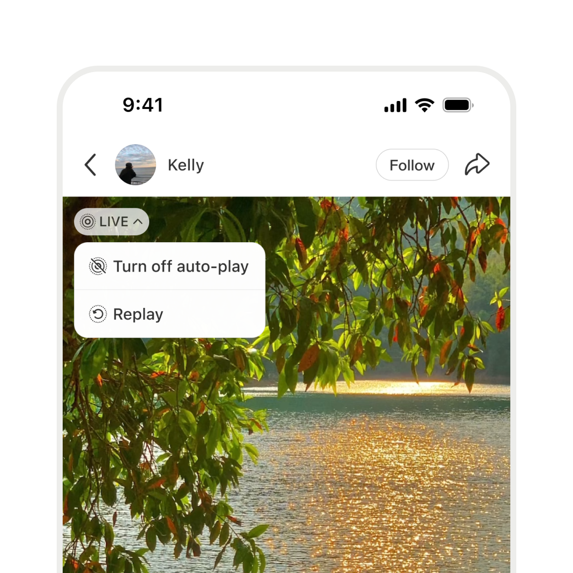 Live Photo playback controls with auto-play and replay options